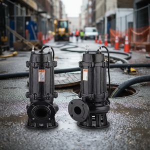 <span class=keywords><strong>Pompe</strong></span> submersible certifiée <span class=keywords><strong>de</strong></span> type WQ à <span class=keywords><strong>prix</strong></span> d'usine avec interrupteur à flotteur pour stations d'élevage des eaux usées et fosse d'égout industrielle - Product Image 2