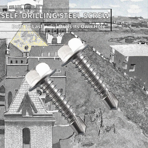 Lida Self-drilling Tapping Stainless Steel <strong>Hex</strong> <strong>Head</strong> <strong>Machine</strong> <strong>Screws</strong> Plain Finish China Manufacturer Inch #12 7mm - Product Image 2