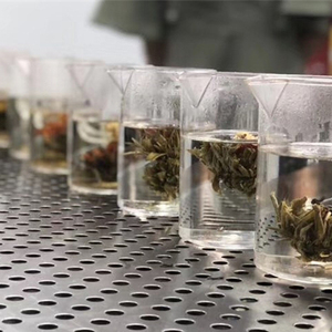 Cinese Artisan Sano Jasmine Fioritura Sfere di Tè di Fioritura Fiori di Al Gusto di Frutta Tè di Fioritura Del Fiore - Product Image 3