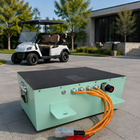 Penggantian Baterai Golf Cart 48V 100Ah LiFePO4 dengan Baterai Lithium Deep Cycle Smart BMS untuk Club Car EZGO Yamaha OEM Grosir