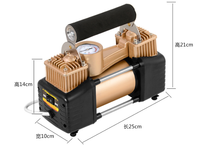 Gonfleur de pneus robuste, pompe à air portable MINI pour voiture, compresseur d'air pour voiture 220V