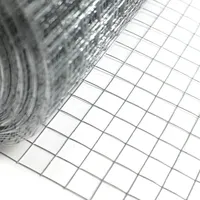 Plastic Coated Welded Wire Mesh Roll
