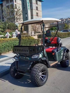 Productos Más Vendidos, Suministro de Última Generación, Carrito de Golf Utilitario de 4 Plazas (2+2) con Asiento Abatible (plástico), Certificado CE, 60v - Product Image 5