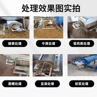 Séparateur sec/humide 380/220V en acier inoxydable pour la fumière de bétail et de volaille, usine du Shandong