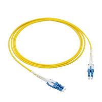 OEM ODM LC SC Fiber Optic Patch Cord Singlemode Simplex Duplex 2m for Data Center Network