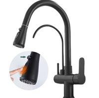 Robinet de cuisine en laiton avec entrée d'eau extractible, purificateur d'eau trois-en-un, double sortie d'eau chaude/froide et cartouche céramique