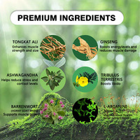 Kapsul penguat kinerja alami kapsul peningkatan Pria berbasis tanaman untuk pertumbuhan otot energi Stamina pria Formula vitalitas