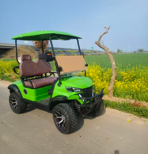 Bestselling Products Best-selling Supply <b>2</b> Seats Golf Cart with Two <b>Passenges</b> Htgf2 - Product Image 4