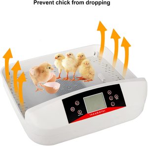 Incubateur à œufs automatique Wonegg, vente en gros, très demandé, 56 œufs, avec plateau à œufs de poule inclus, taux d'éclosion de 98% - Product Image 5