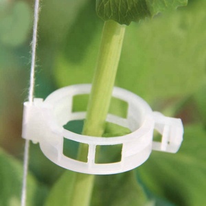 Clips de fixation pour serre, outil pour fixer les vignes, 100 pièces, en plastique, pour tomates, légumes, jardin, support de plantes - Product Image 3