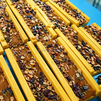 Machine automatique GUSU pour la fabrication de barres chocolatées et protéinées avec des noix, des fruits et du lait - Nouvelle