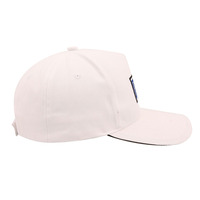 Casquettes de baseball en gros avec logo personnalisé, style urbain, imprimées et brodées, casquettes de baseball personnalisées à 5 panneaux