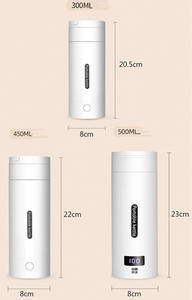 Reis Elektrische Waterkoker Draagbare Kleine Mini Thee Koffie Waterkoker Waterboiler, Boiler Met 4 Temperatuurregeling - Product Image 3