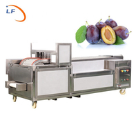 Olijfpitter Kersen Druif Buitverwijderaar Kersen Pitter Fruit Pitter Putmachine
