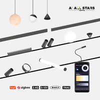 Système d'éclairage sur rail magnétique intelligent Tuya, ajustement précis, rail ultra-fin de 10 mm, 48 V, éclairage sur rail magnétique LED en aluminium personnalisé