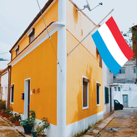 Drapeau du Luxembourg 3x5ft en Polyester avec deux œillets en laiton imprimés numériquement à une seule couche pour décoration intérieure et extérieure