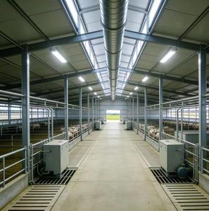 Solución Integral para Granjas Lecheras: Nave Moderna Prefabricada de Acero para Gallinas, Establos y Salas de Ordeño con 5 Años de Garantía - Product Image 4