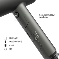 PRITECH Sèche-cheveux professionnel pliable de haute qualité pour salon de voyage