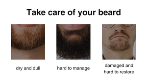 Kit Completo OEM 6 en 1 para el Crecimiento de la Barba - 2 Aceites para Barba, Bálsamo, Peine de Doble Cara, <span class=keywords><strong>Derma</strong></span> Roller y Bolsa de Viaje, Set de Cuidado de la Barba - Product Image 4