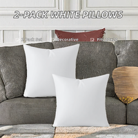 Coussin décoratif carré pour canapé-lit, garni de polyester, confortable et décoratif pour l'intérieur, avec housses nettoyables à la main