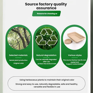 Tazón de Comida para Mascotas Desechable Ecológico a Precio Mayorista, Tazón para Gatos al Aire Libre a Prueba de Fugas, Sólido y sin Necesidad de Lavar para Gatos Vagabundos - Product Image 2