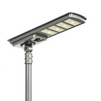 Lampadaire solaire tout-en-un 100W, haute luminosité, anti-corrosion, étanche IP65, pour projet d'éclairage de parking