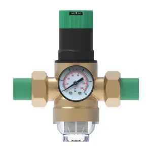 Vanne <span class=keywords><strong>de</strong></span> réduction <span class=keywords><strong>de</strong></span> <span class=keywords><strong>pression</strong></span> d'eau réglable avec préfiltre intégré et soupape <span class=keywords><strong>de</strong></span> sécurité, régulateur <span class=keywords><strong>de</strong></span> <span class=keywords><strong>pression</strong></span> <span class=keywords><strong>de</strong></span> gaz pour <span class=keywords><strong>plomberie</strong></span> (fabriqué en Chine continentale) - Product Image 5
