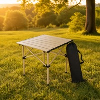 Table de camping pliable portable en acier, couleur champagne et noir, pour pique-nique en extérieur, vente en gros, OEM, marque privée, directement de l'usine