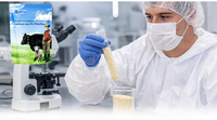 Lanchen RumiLys Prémélange de vitamines et d'oligo-éléments pour ruminants, additif alimentaire en poudre, minéraux de qualité favorisant une croissance saine et une nutrition optimale