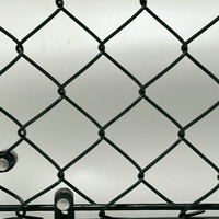 Heetgedoopte gegalvaniseerde & PVC-gecoate kettingschermen, geweven diamantdraadgaas voor tuin en sportvelden