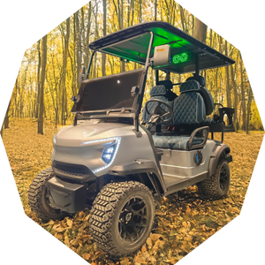 Mini voiturette de golf électrique au lithium à prix compétitifs 2 + 2 places - Product Image 3