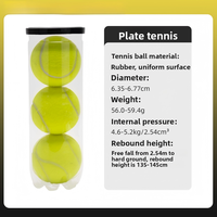 BTYP WQ-04 Ballons de padel haute performance, durables, rebond élevé, 300g, lot de 3, pour entraînement, adultes, jeunes, débutants