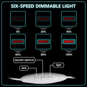 Spanish Open LED Neon USB Powered Restaurant Shop <b>Window</b> Display Sign Indicator <b>Light</b> Ambient <b>Light</b> Decorative <b>Light</b> 5V 12V - Product Image 4