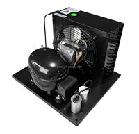 Mini unité de compresseur de condensation 12V DC avec condensateur de tube de cuivre automatique pour congélateur restaurants hôtels nouvel état utilisé