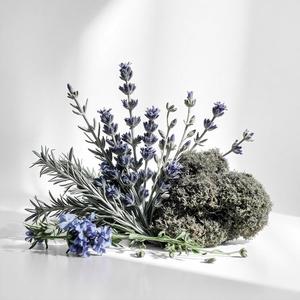Divain 216 For Him Intense Fougere Profumo Autunnale con Fava Tonka - Product Image 2