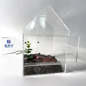 Vitrines de reptile en acrylique en forme de maison Cas de terrarium de reptile en acrylique pour araignée pour affichage uniquement