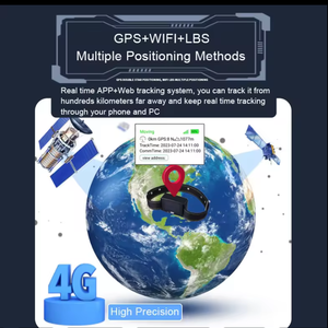 צריכת חשמל נמוכה המתנה ארוכה המתנה ארוכה של בקר משק בקר בקר סוס עם צווארון 4g - Product Image 2