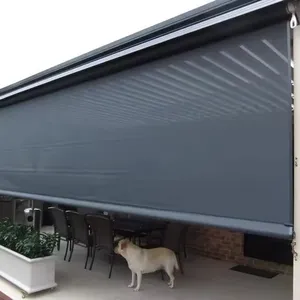 Outdoor Window Easy To Manual Operate Durable Sun Protection Smart Window Roller Blinds Awning