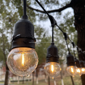 Điện áp thấp <span class=keywords><strong>G45</strong></span> Globe Trắng PC Vỏ Bóng đèn <span class=keywords><strong>LED</strong></span> <span class=keywords><strong>String</strong></span> ánh sáng với 12V adapter thay đổi độ sáng an toàn cho Giáng sinh kỳ nghỉ Patio Đảng - Product Image 3