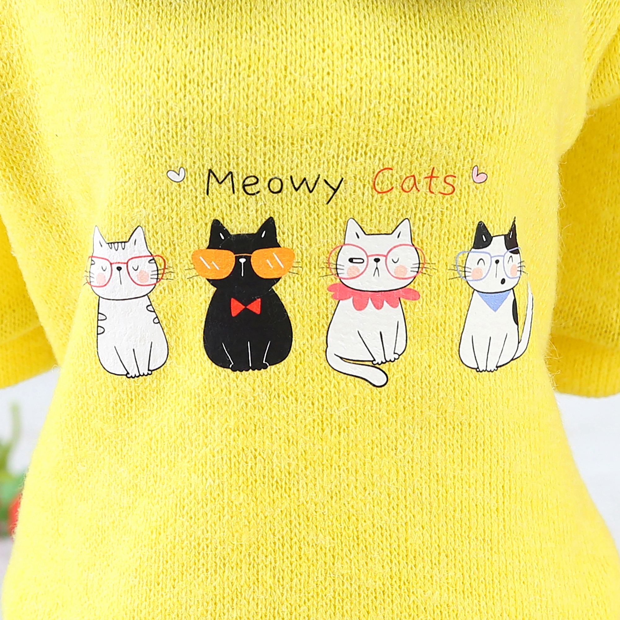 Luxury Classic Wool Fabric Pet Two - Legged Knit Puppy Dog Cat Sweater Winter Pet Apparel Dog Clothes With Anima Pattern