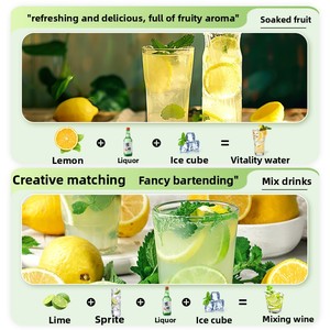 Vin fruité faiblement alcoolisé 360 ml, <span class=keywords><strong>liqueur</strong></span> multi-saveurs Weilin - Approvisionnement exclusif pour les bars et les supermarchés - Product Image 6
