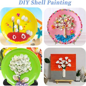 Tự Nhiên Nhỏ Biển Vỏ Nhỏ Màu Trắng Vỏ Cho Hàng Thủ Công Nhà Bãi Biển Chủ Đề Đảng Bể Cá Bình Phụ Vòng Đeo Tay Làm - Product Image 5