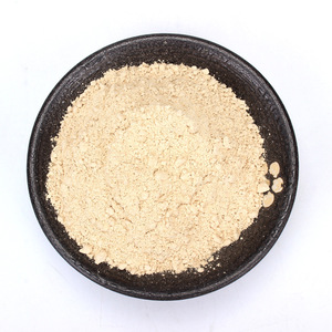 Produsen Menyediakan Bubuk Ragi Bir, Bubuk Mentah, Bubuk Halus, Makanan Instan untuk Dicampur, dan Dapat Diproses - Product Image 3