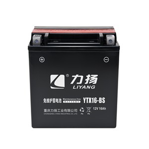 YTX16-BS OEM de fábrica de alta calidad precio seco <span class=keywords><strong>Moto</strong></span> Agm batería DENEL batería de la motocicleta - Product Image 3