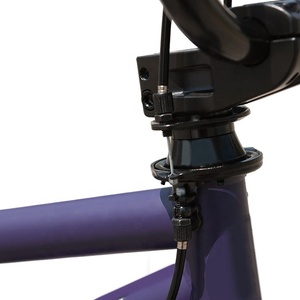 Vélo <span class=keywords><strong>BMX</strong></span> Freestyle d'occasion pas cher, 20 pouces, freins et levier Springfield, vitesse unique, <span class=keywords><strong>BMX</strong></span> pour la <span class=keywords><strong>course</strong></span> - Product Image 6