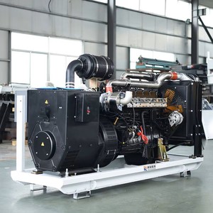Equipo de Generación de Biogás, Generadores de Turbina de Gas Natural y GLP, Grupo Electrógeno de Gas Natural de 62.5 kVA 50 kW para el Hogar - Product Image 6