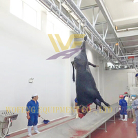 Équipement d'abattage de bovins, ligne d'abattage et de saignée pour abattoir, machine de boucherie pour taureaux, usine de transformation de viande bovine, conforme HACCP