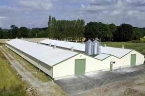 <span class=keywords><strong>Abri</strong></span> pour moutons, vaches et poulets en structure acier préfabriquée soudée, économique et durable, bâtiment agricole entièrement fermé pour l'élevage de chèvres et de bétail - Product Image 5