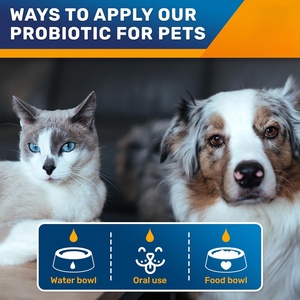 Complément alimentaire probiotique en gouttes pour chiens ODM/OEM - Vitamines et minéraux quotidiens en gouttes, bon pour le soutien de la santé intestinale - Product Image 3
