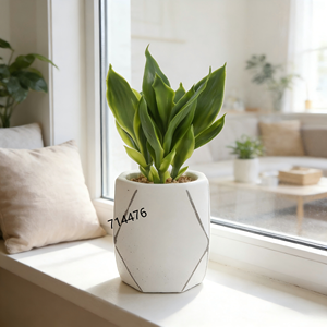 ต้นไม้ใบหลากสีประดิษฐ์ในกระถางทรงเรขาคณิตสีขาว ไม่ต้องดูแลรักษา ต้นไผ่กวนอิมสำหรับตกแต่งสไตล์โมเดิร์นมินิมอล - Product Image 1